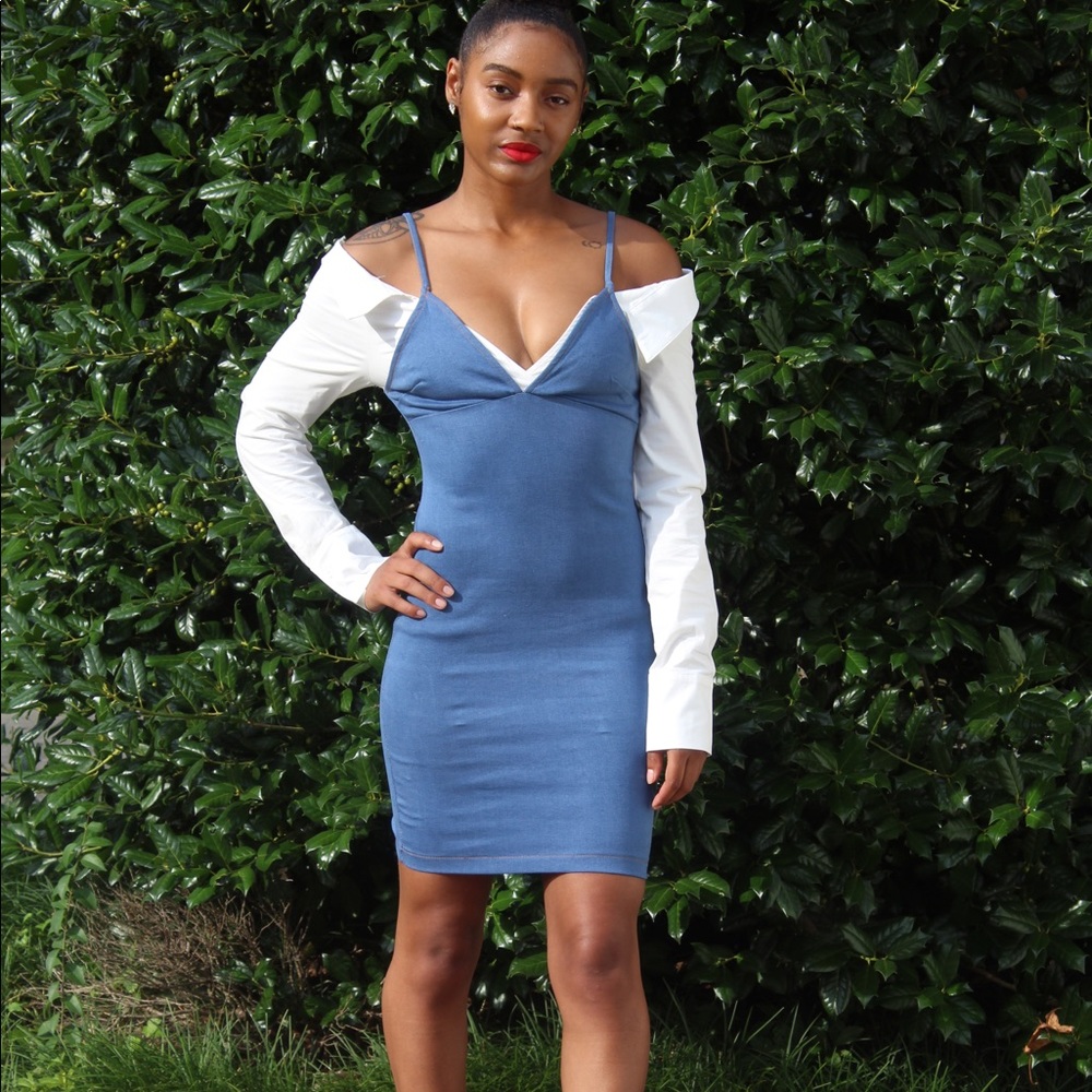 Denim Sleeve Dress